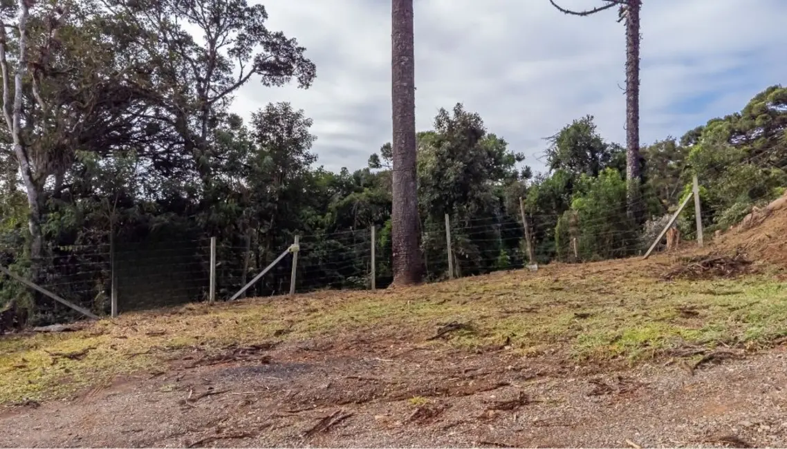 Foto 1 de Terreno / Lote à venda, 5000m2 em Quatro Barras - PR