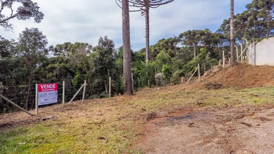 Foto 4 de Terreno / Lote à venda, 5000m2 em Quatro Barras - PR