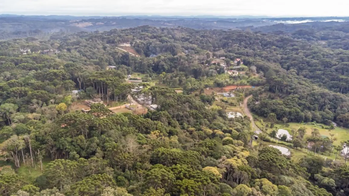 Foto 7 de Terreno / Lote à venda, 5000m2 em Quatro Barras - PR