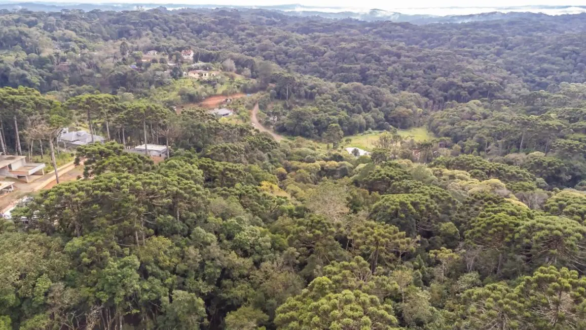 Foto 8 de Terreno / Lote à venda, 5000m2 em Quatro Barras - PR
