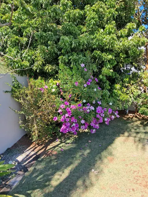 Foto 4 de Sobrado à venda e para alugar, 800m2 em São Paulo - SP