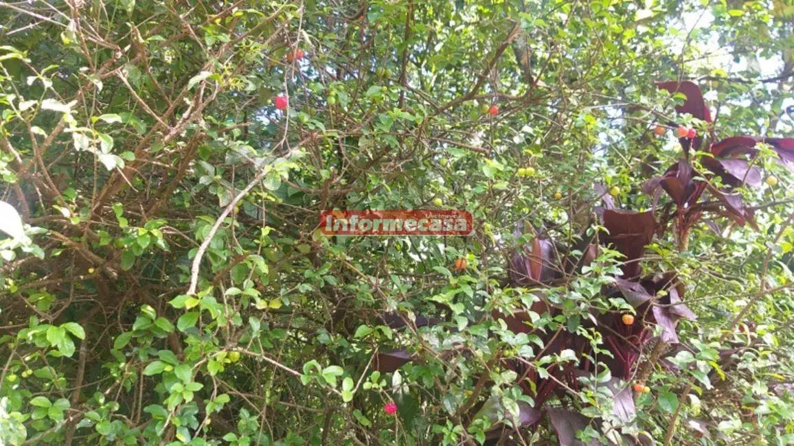 Terreno / Lote à venda, 525m2 em Cidade Jardim Parque Estoril, Nova Iguacu - RJ - imagem 3 Foto 3 de Terreno / Lote à venda, 525m2 em Cidade Jardim Parque Estoril, Nova Iguacu - RJ