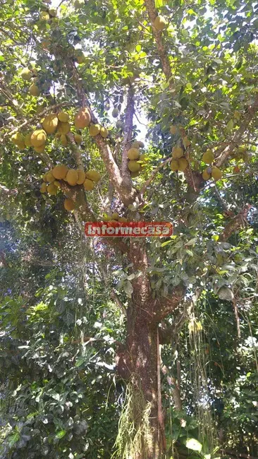 Terreno / Lote à venda, 525m2 em Cidade Jardim Parque Estoril, Nova Iguacu - RJ - imagem 7 Foto 7 de Terreno / Lote à venda, 525m2 em Cidade Jardim Parque Estoril, Nova Iguacu - RJ