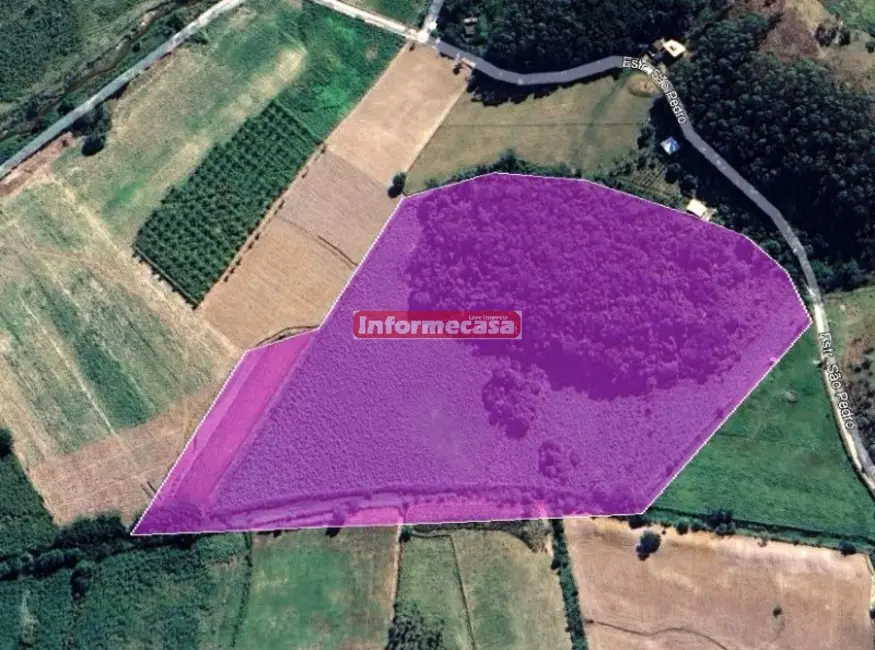 Foto 1 de Sítio / Rancho com 3 quartos à venda, 70000m2 em Pedra Lisa, Japeri - RJ