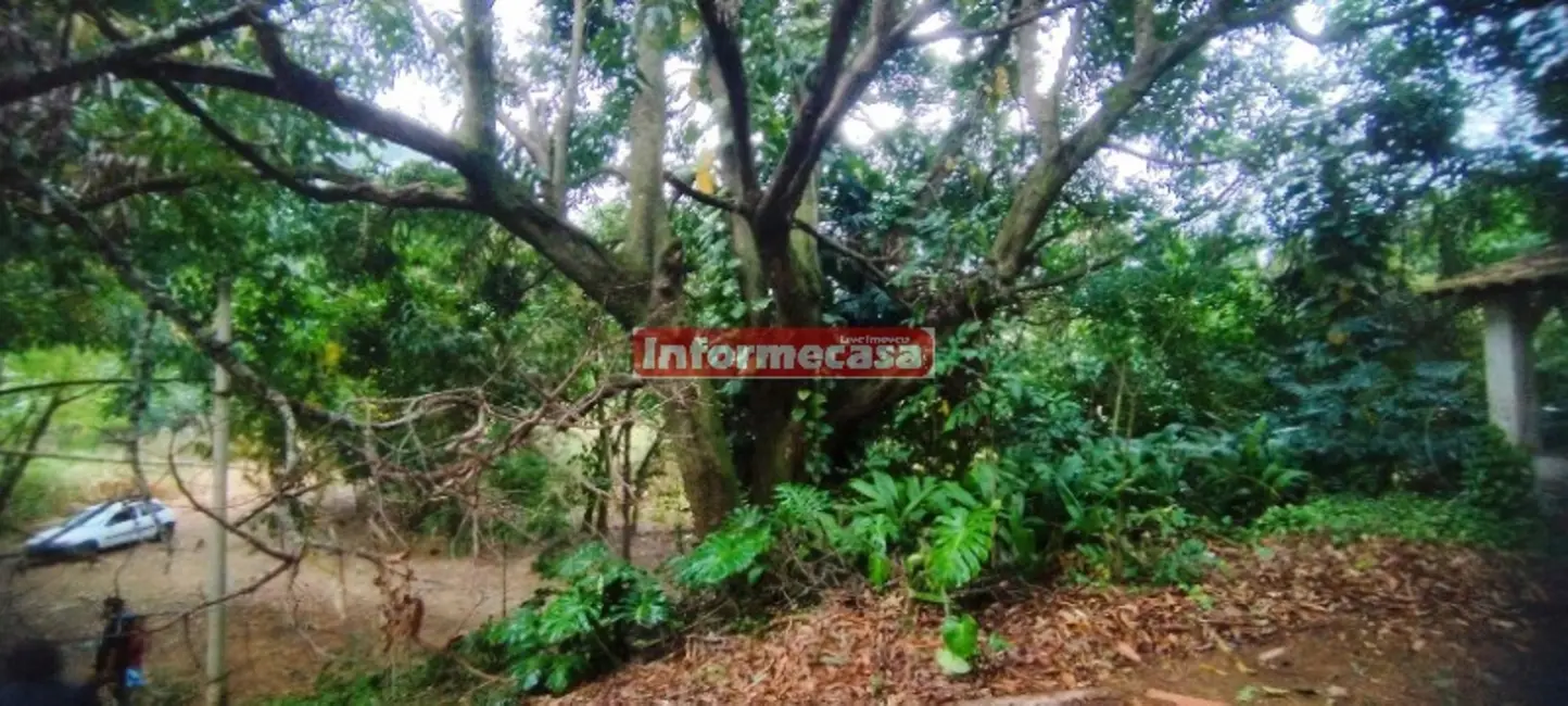 Foto 5 de Sítio / Rancho com 3 quartos à venda, 70000m2 em Pedra Lisa, Japeri - RJ
