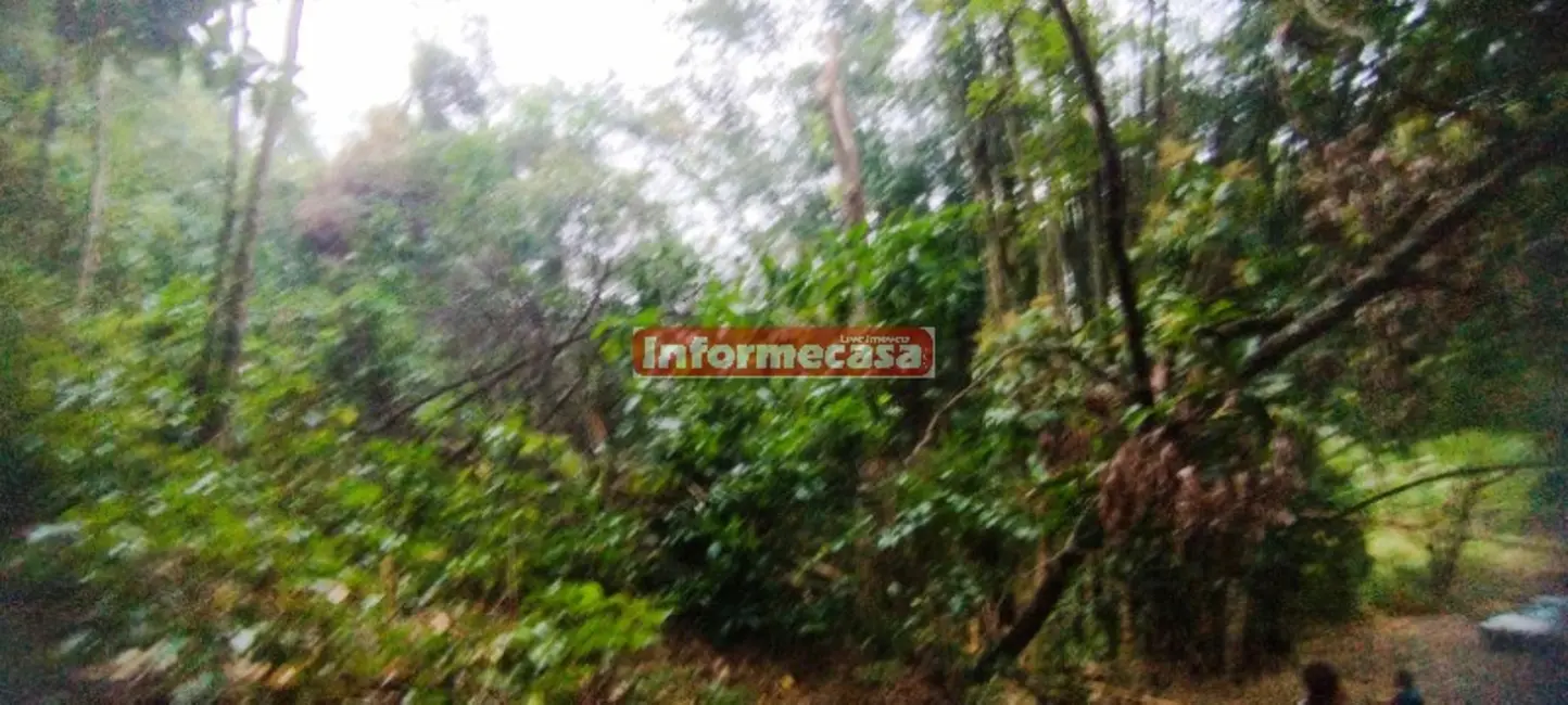 Foto 4 de Sítio / Rancho com 3 quartos à venda, 70000m2 em Pedra Lisa, Japeri - RJ