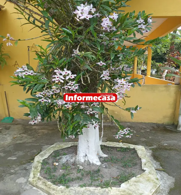 Foto 2 de Sítio / Rancho com 2 quartos à venda, 100m2 em Tinguá, Nova Iguacu - RJ
