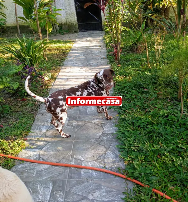 Foto 4 de Sítio / Rancho com 2 quartos à venda, 100m2 em Tinguá, Nova Iguacu - RJ