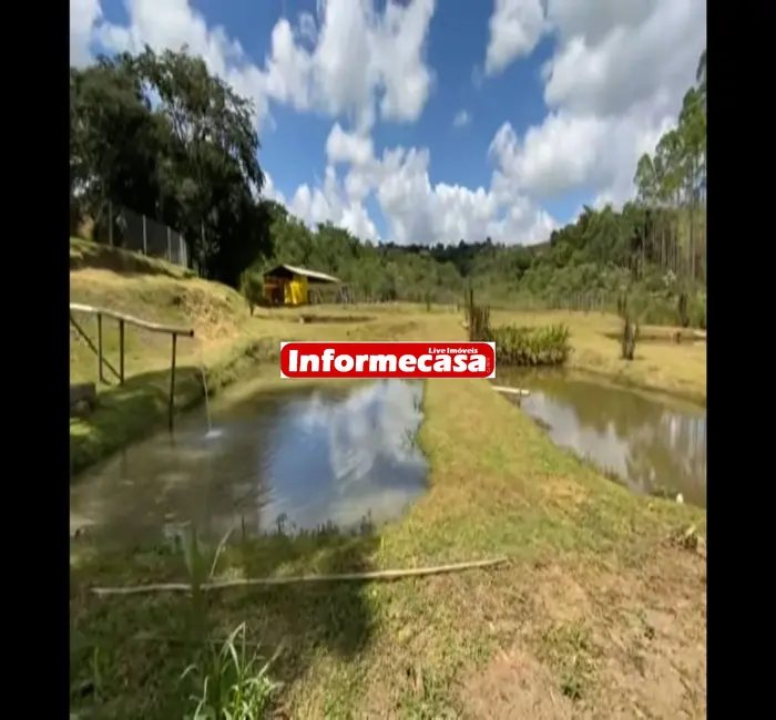 Fazenda / Haras com 4 quartos à venda, 15000m2 em Entre Rios De Minas - MG - imagem 9 Foto 9 de Fazenda / Haras com 4 quartos à venda, 15000m2 em Entre Rios De Minas - MG