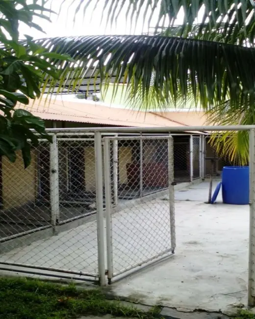 Foto 9 de Casa com 4 quartos à venda, 220m2 em Jardim Tropical, Nova Iguacu - RJ