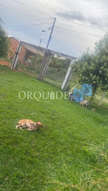 Foto 3 de Chácara com 3 quartos à venda, 180m2 em Área Rural de Rio Verde, Rio Verde - GO
