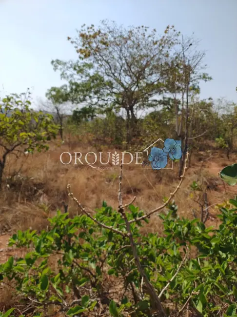 Foto 10 de Chácara à venda em Área Rural de Rio Verde, Rio Verde - GO