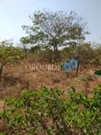 Imagem 10