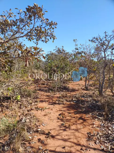 Foto 12 de Chácara à venda em Área Rural de Rio Verde, Rio Verde - GO
