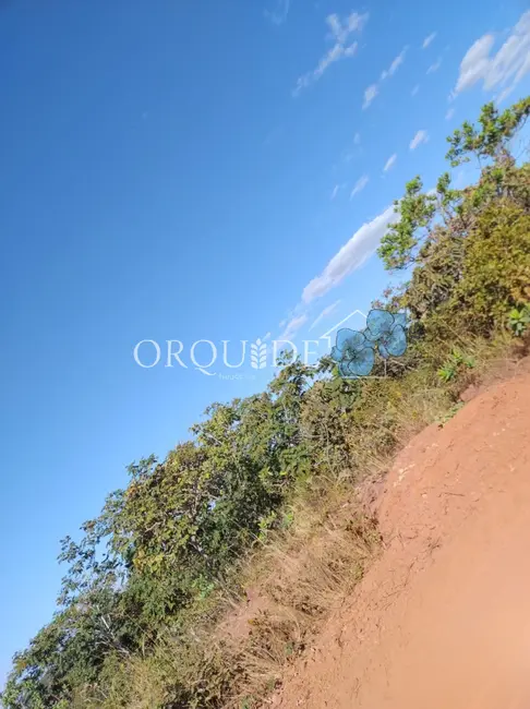 Chácara à venda em Área Rural de Rio Verde, Rio Verde - GO - imagem 8 Foto 8 de Chácara à venda em Área Rural de Rio Verde, Rio Verde - GO
