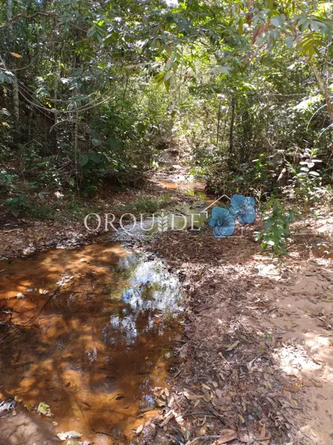 Chácara à venda em Área Rural de Rio Verde, Rio Verde - GO - imagem 4 Foto 4 de Chácara à venda em Área Rural de Rio Verde, Rio Verde - GO
