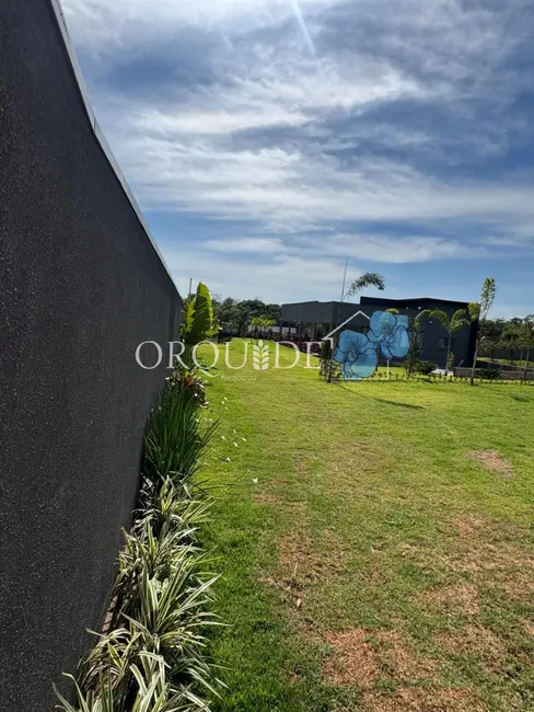Foto 7 de Chácara com 1 quarto à venda, 4000m2 em Área Rural de Rio Verde, Rio Verde - GO