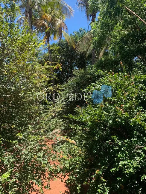 Foto 3 de Chácara com 2 quartos à venda, 217m2 em Parque das Laranjeiras Prolongamento, Rio Verde - GO