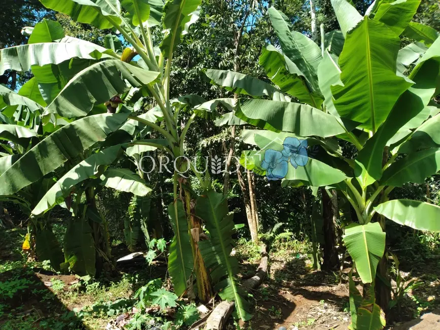 Foto 9 de Chácara com 2 quartos à venda, 30m2 em Área Rural de Rio Verde, Rio Verde - GO