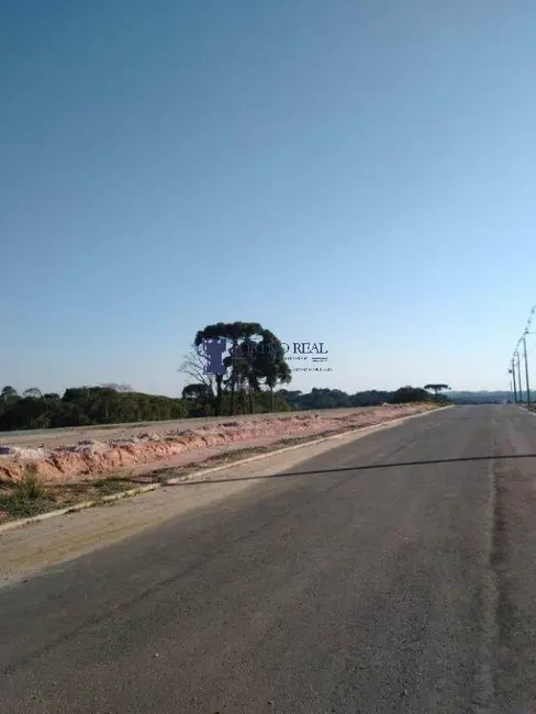 Terreno / Lote à venda, 418m2 em Botiatuva, Campo Largo - PR - imagem 7 Foto 7 de Terreno / Lote à venda, 418m2 em Botiatuva, Campo Largo - PR