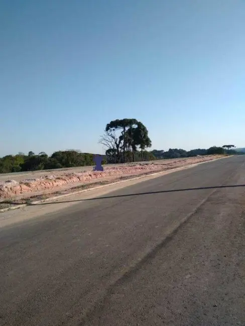 Terreno / Lote à venda, 418m2 em Botiatuva, Campo Largo - PR - imagem 2 Foto 2 de Terreno / Lote à venda, 418m2 em Botiatuva, Campo Largo - PR