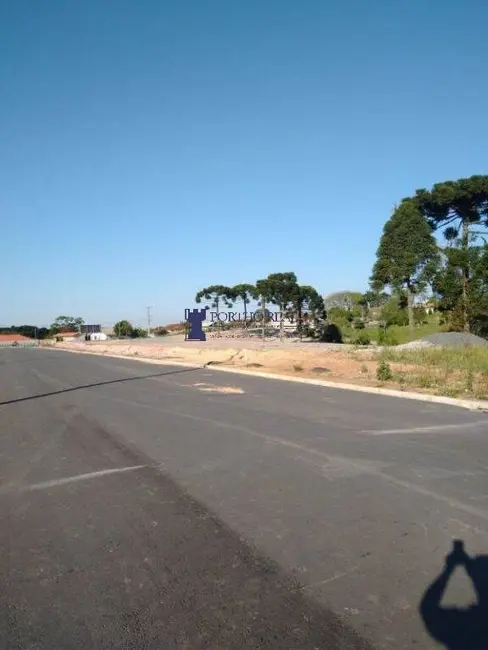 Terreno / Lote à venda, 418m2 em Botiatuva, Campo Largo - PR - imagem 3 Foto 3 de Terreno / Lote à venda, 418m2 em Botiatuva, Campo Largo - PR