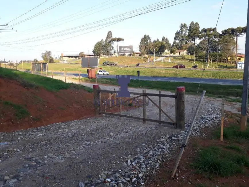 Terreno / Lote à venda, 30398m2 em Cercadinho, Campo Largo - PR - imagem 8 Foto 8 de Terreno / Lote à venda, 30398m2 em Cercadinho, Campo Largo - PR