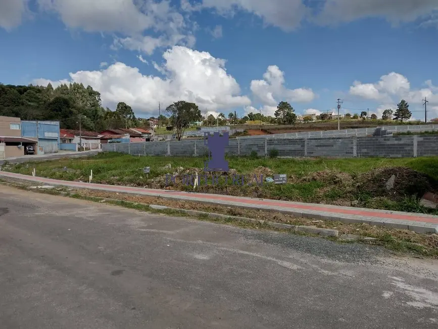 Terreno / Lote à venda em Jardim Lise, Campo Largo - PR - imagem 3 Foto 3 de Terreno / Lote à venda em Jardim Lise, Campo Largo - PR