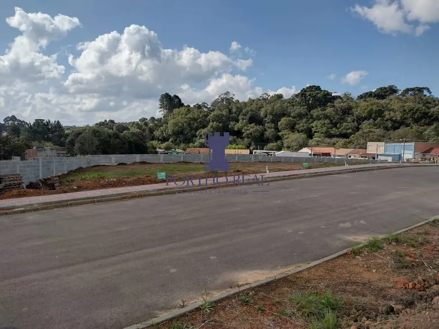 Terreno / Lote à venda em Jardim Lise, Campo Largo - PR - imagem 1 Foto 1 de Terreno / Lote à venda em Jardim Lise, Campo Largo - PR