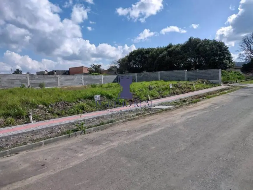 Terreno / Lote à venda em Jardim Lise, Campo Largo - PR - imagem 4 Foto 4 de Terreno / Lote à venda em Jardim Lise, Campo Largo - PR