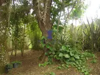 Imagem 10