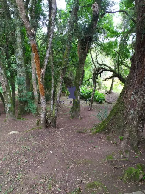 Foto 11 de Chácara à venda em Fazendinha, Campo Largo - PR