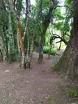 Imagem 11