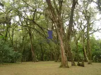 Imagem 12