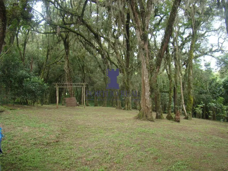 Foto 13 de Chácara à venda em Fazendinha, Campo Largo - PR
