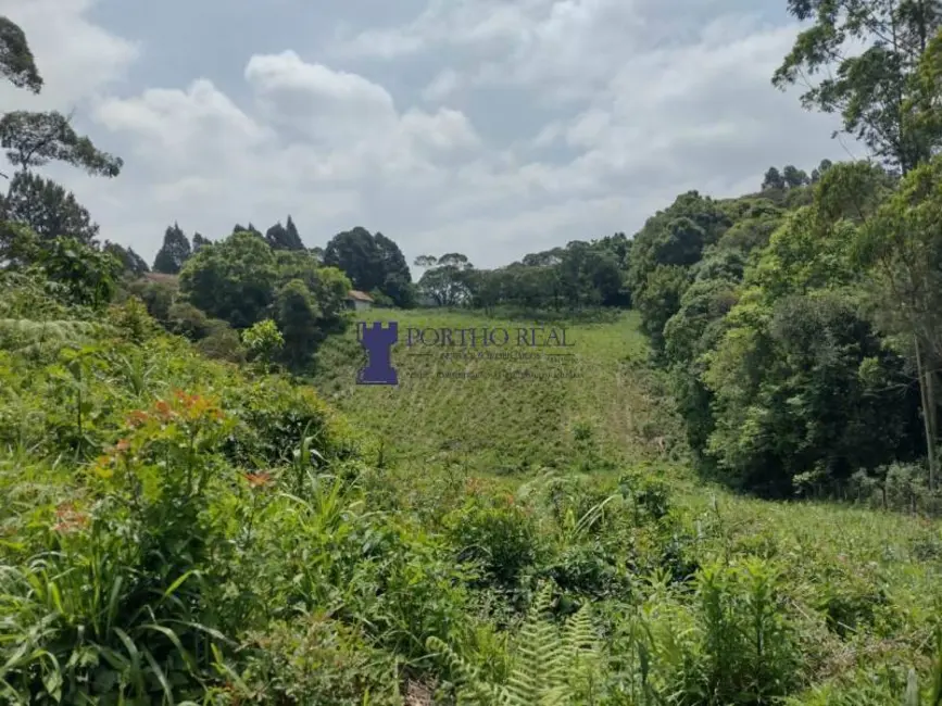 Terreno / Lote à venda em Vila Delurdes, Campo Largo - PR - imagem 5 Foto 5 de Terreno / Lote à venda em Vila Delurdes, Campo Largo - PR