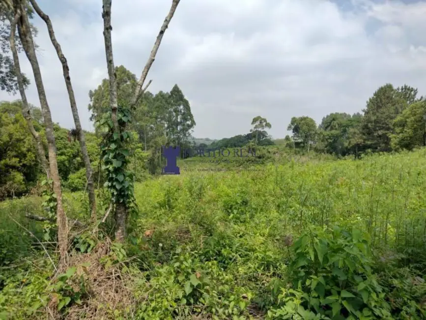 Terreno / Lote à venda em Vila Delurdes, Campo Largo - PR - imagem 3 Foto 3 de Terreno / Lote à venda em Vila Delurdes, Campo Largo - PR