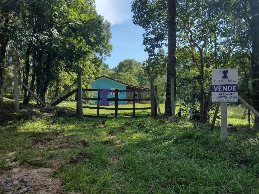 Chácara com 2 quartos à venda, 3375m2 em Campo Largo - PR - imagem 3 Foto 3 de Chácara com 2 quartos à venda, 3375m2 em Campo Largo - PR