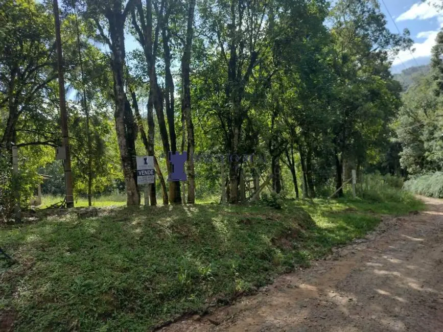 Chácara com 2 quartos à venda, 3375m2 em Campo Largo - PR - imagem 6 Foto 6 de Chácara com 2 quartos à venda, 3375m2 em Campo Largo - PR