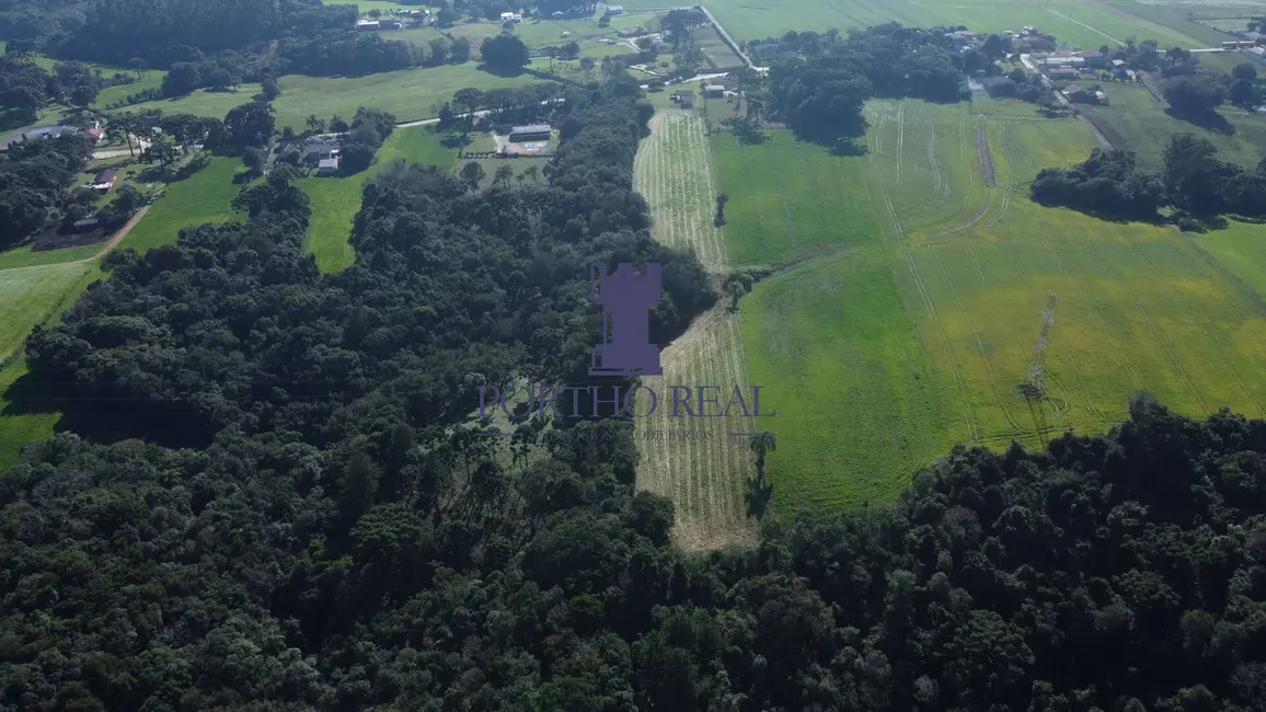 Foto 8 de Terreno / Lote à venda, 30855m2 em Salgadinho, Campo Largo - PR