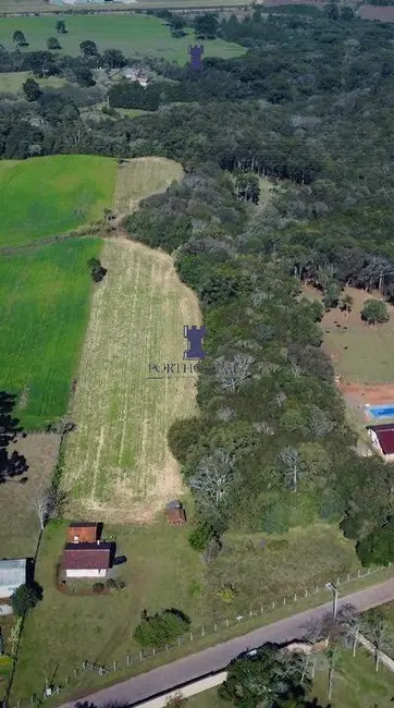 Foto 5 de Terreno / Lote à venda, 30855m2 em Salgadinho, Campo Largo - PR