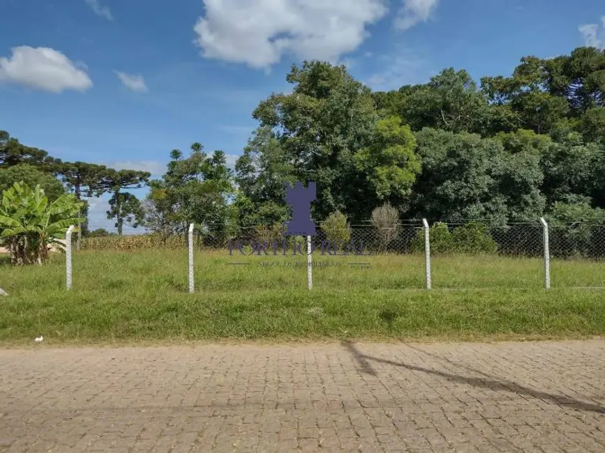 Terreno / Lote à venda, 30855m2 em Salgadinho, Campo Largo - PR - imagem 8 Foto 8 de Terreno / Lote à venda, 30855m2 em Salgadinho, Campo Largo - PR