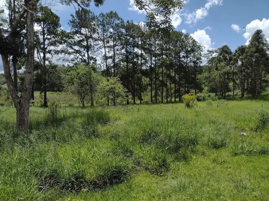 Foto 6 de Fazenda / Haras com 5 quartos à venda, 499m2 em Aroeira, Guaratingueta - SP