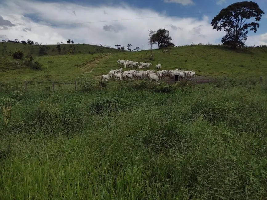 Foto 1 de Fazenda / Haras com 5 quartos à venda, 499m2 em Aroeira, Guaratingueta - SP