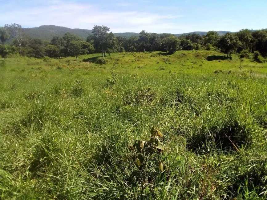 Fazenda / Haras com 3 quartos à venda, 1541m2 em Centro, Acorizal - MT - imagem 7 Foto 7 de Fazenda / Haras com 3 quartos à venda, 1541m2 em Centro, Acorizal - MT
