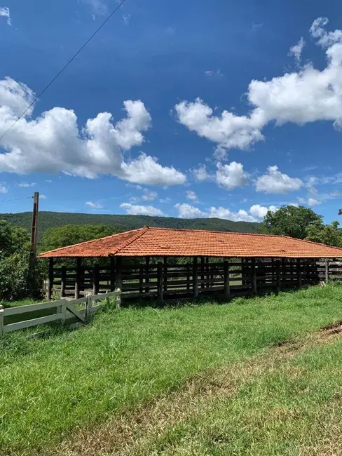 Fazenda / Haras com 3 quartos à venda, 1541m2 em Centro, Acorizal - MT - imagem 5 Foto 5 de Fazenda / Haras com 3 quartos à venda, 1541m2 em Centro, Acorizal - MT