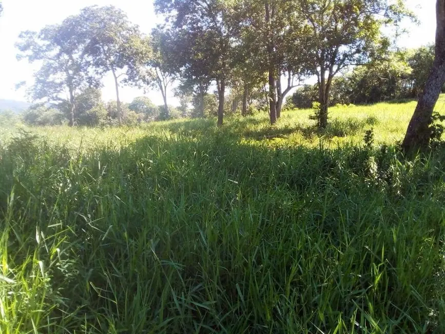 Fazenda / Haras com 3 quartos à venda, 1541m2 em Centro, Acorizal - MT - imagem 8 Foto 8 de Fazenda / Haras com 3 quartos à venda, 1541m2 em Centro, Acorizal - MT