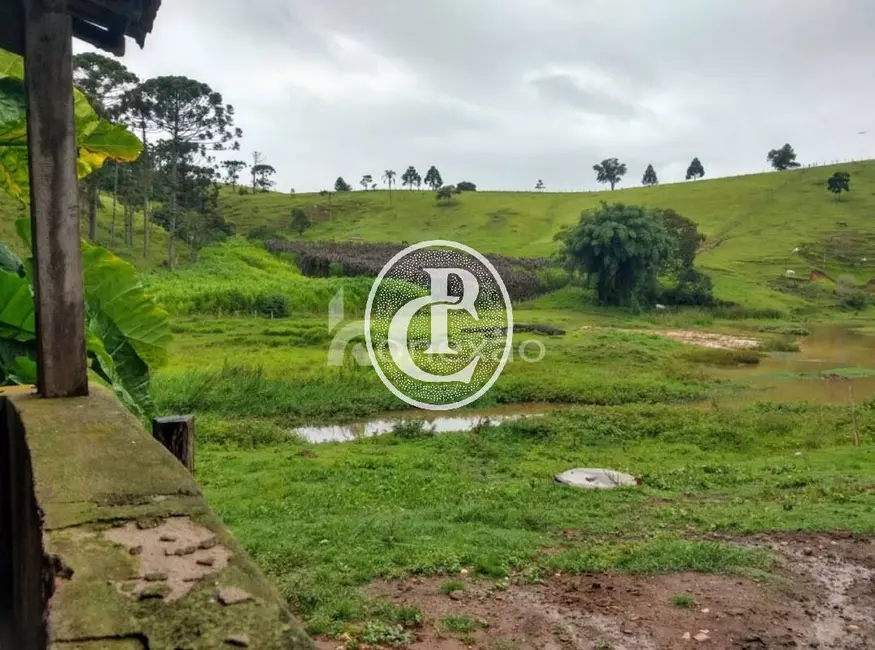 Fazenda / Haras com 5 quartos à venda, 100m2 em Lagoinha - SP - imagem 9 Foto 9 de Fazenda / Haras com 5 quartos à venda, 100m2 em Lagoinha - SP