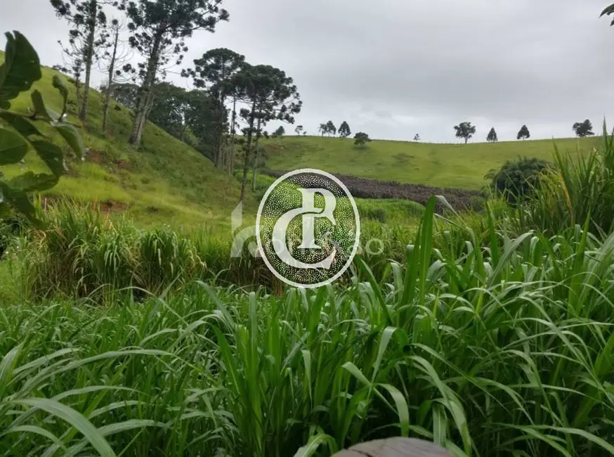 Fazenda / Haras com 5 quartos à venda, 100m2 em Lagoinha - SP - imagem 7 Foto 7 de Fazenda / Haras com 5 quartos à venda, 100m2 em Lagoinha - SP