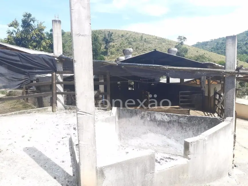 Chácara com 1 quarto à venda, 500m2 em Paraibuna - SP - imagem 9 Foto 9 de Chácara com 1 quarto à venda, 500m2 em Paraibuna - SP